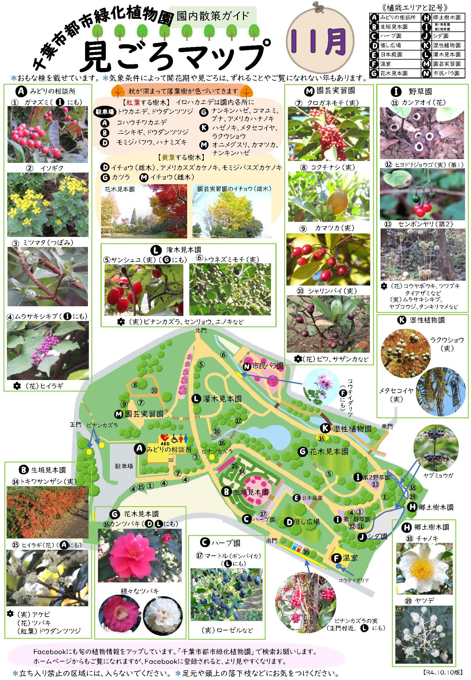 11月:見ごろマップ