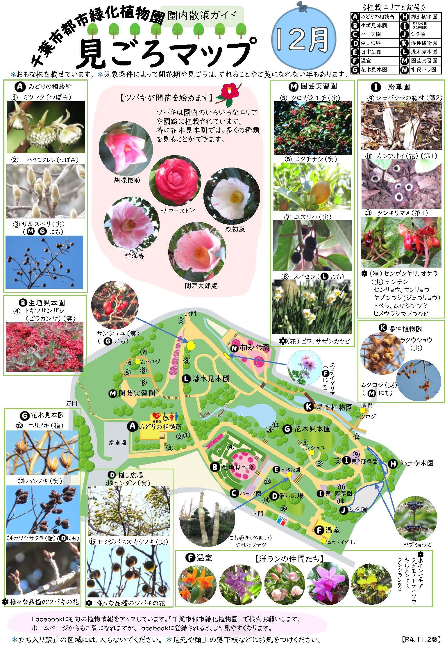 12月:見ごろマップ