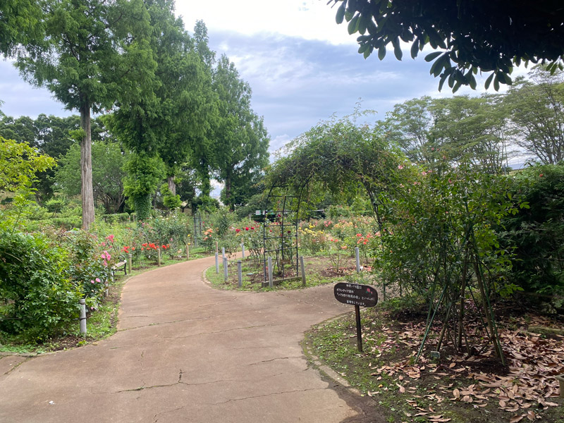 バラ園 