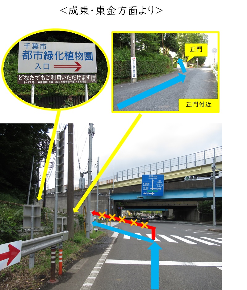 【↑千葉東ＩＣを出て１つ目の信号から園への入り方】