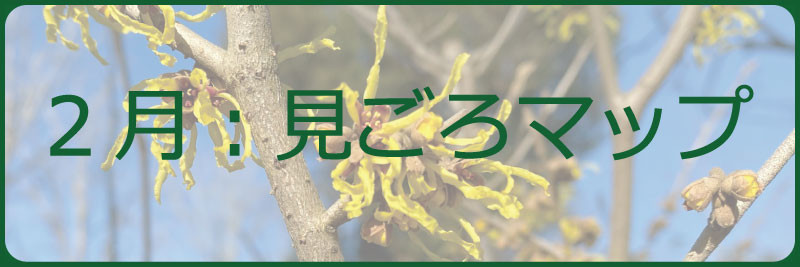 2月：見ごろマップ