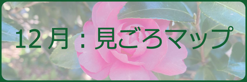 12月：見ごろマップ