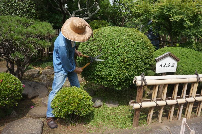 ③R7/5/22日本庭園の手入れ