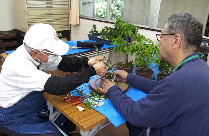 ③R7/6/1　月例会（講習会）