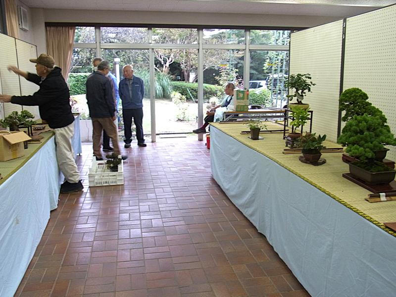 ③R7/10/16　「秋の盆栽作風展」の準備