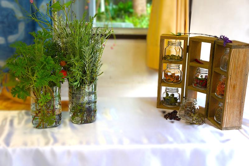 ②R7/10/25「ハーブ展」開催！