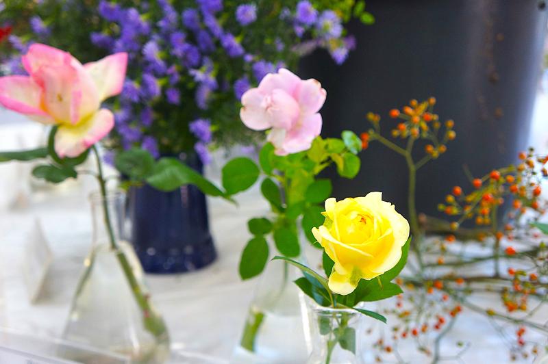 ③R7/11/7 「バラ展」開催♪