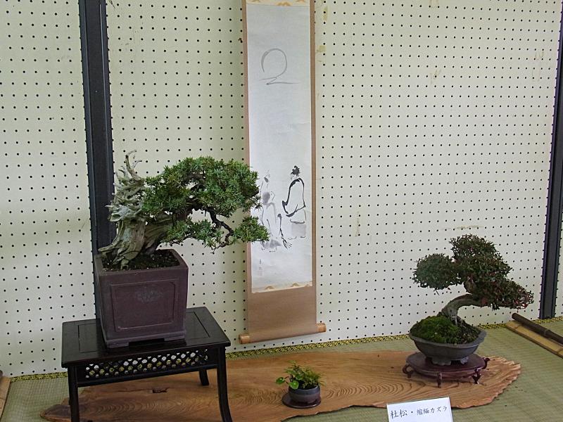 ②R7/10/18 「秋の盆栽作風展」開催！