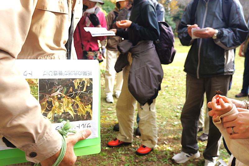 ②R7/11/22　「園内ガイドツアー」開催!