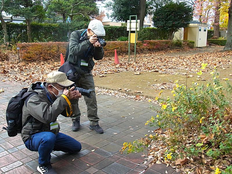 ②R7/11/29 「園内撮影会」開催！