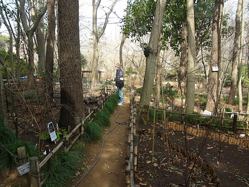 R8/2/6　「野草園」の整美作業