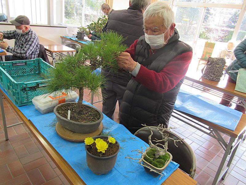 ③R8/2/15　盆栽同好会「講習会」の開催