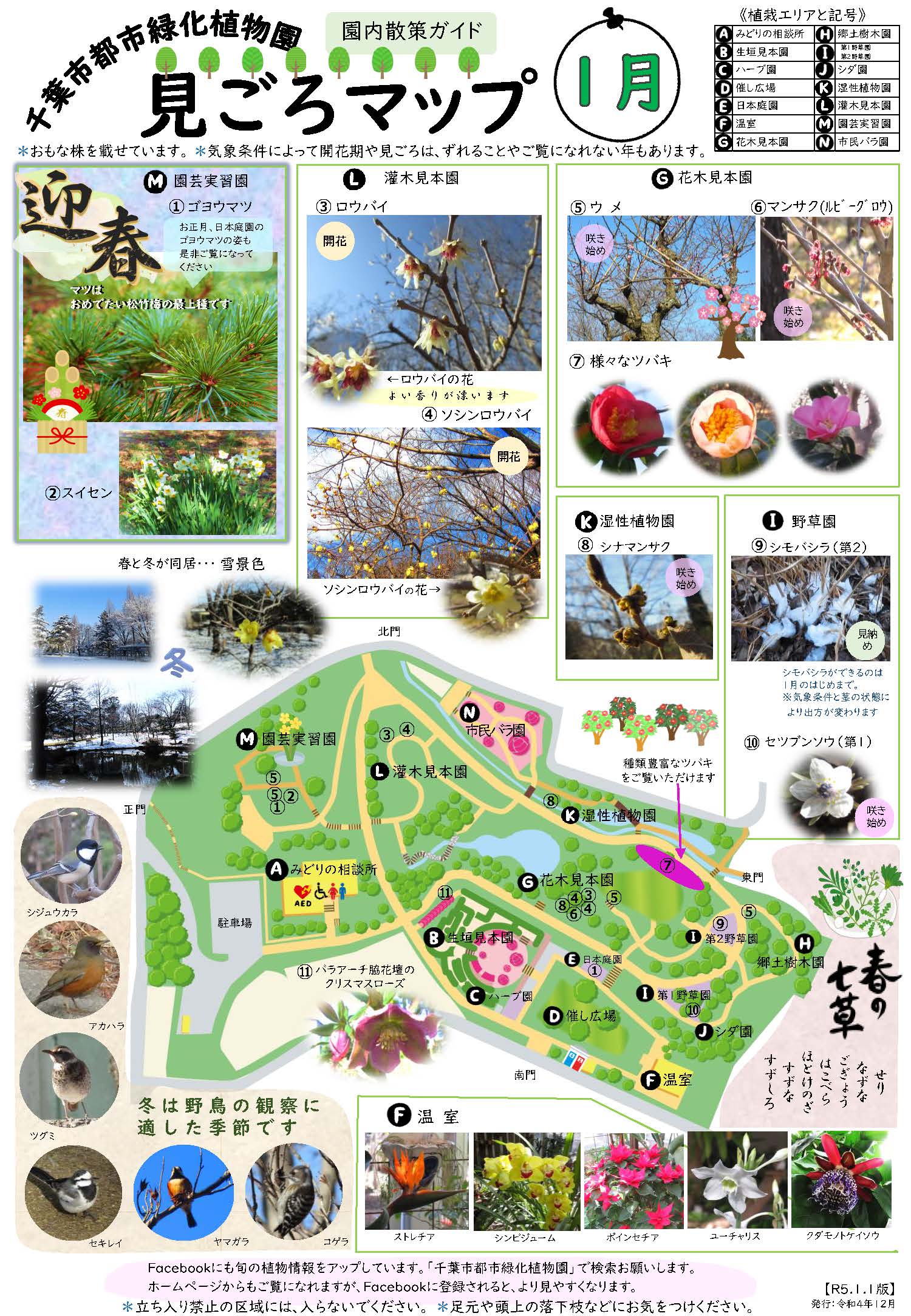 1月:見ごろマップ