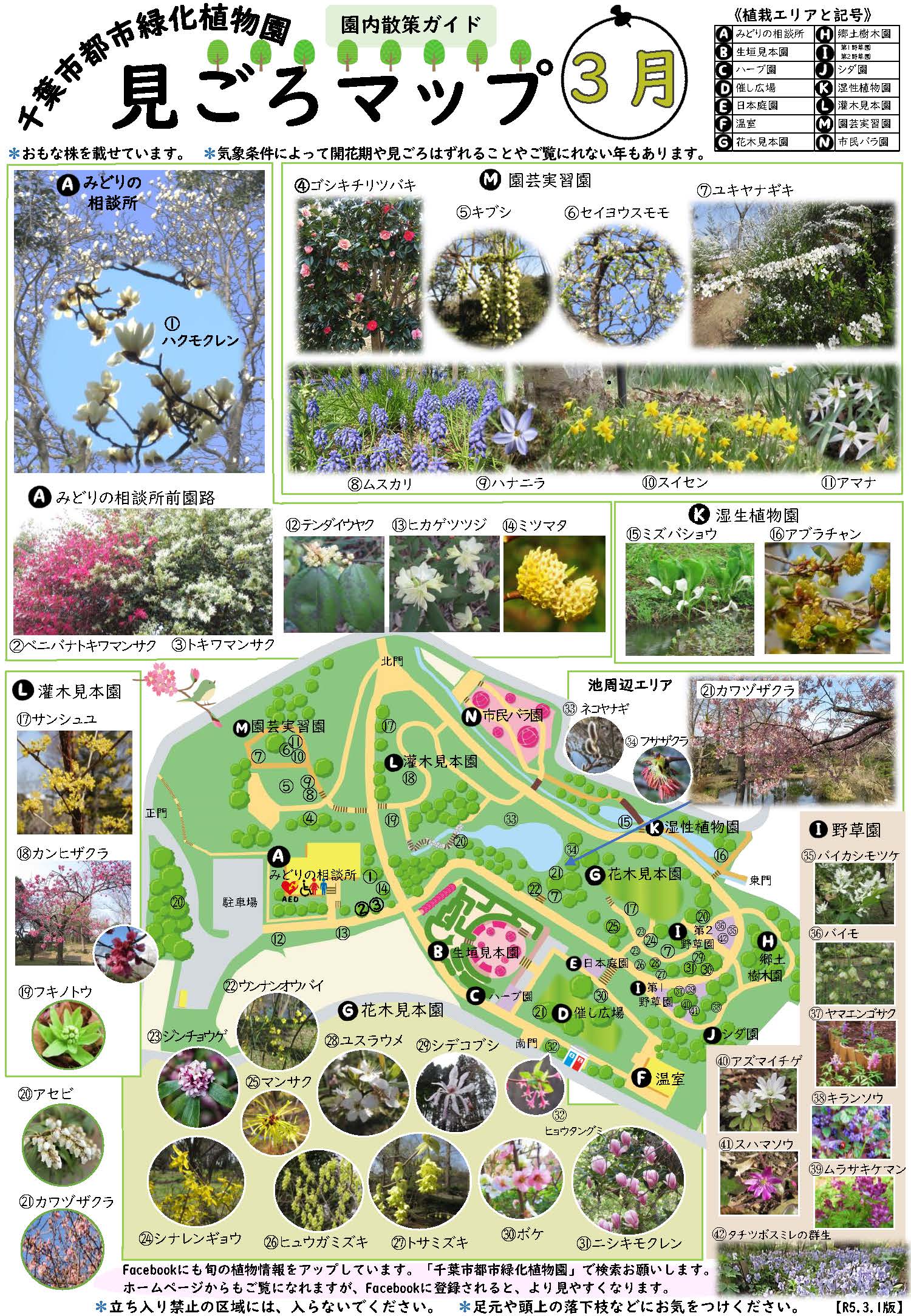 3月：見ごろマップ